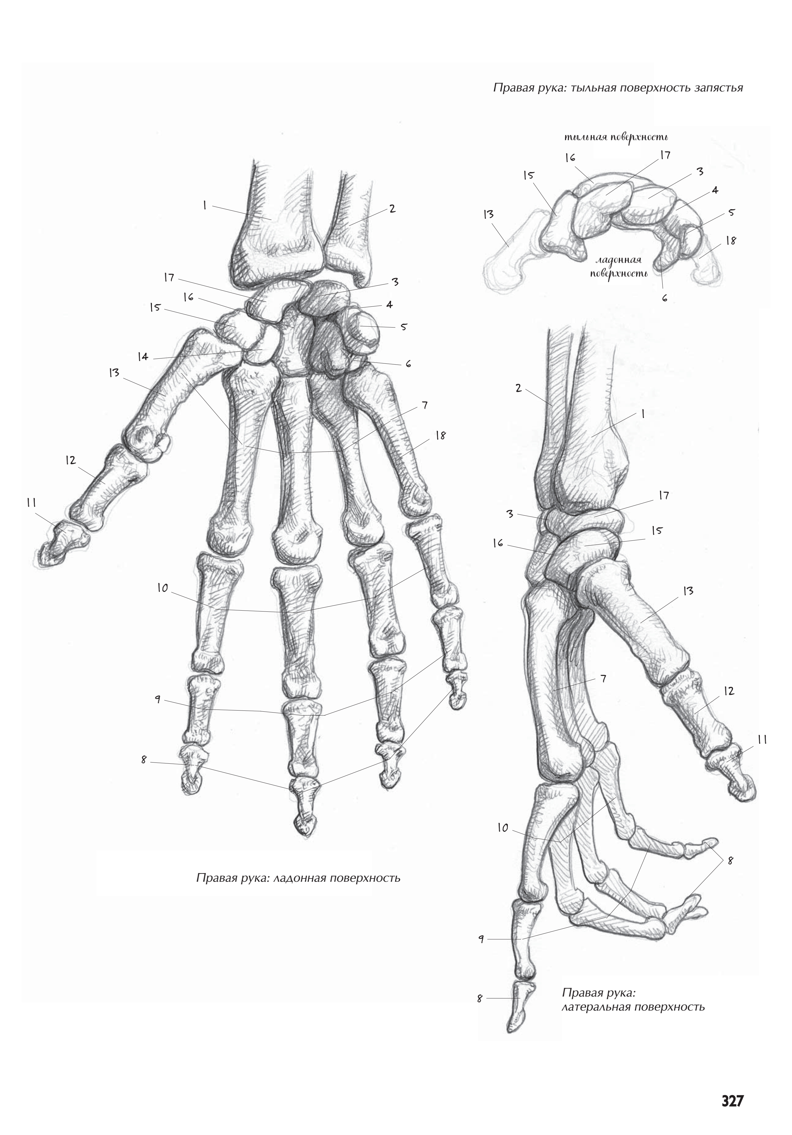 آموزش نقاشی طراحی سیاه قلم شهرری